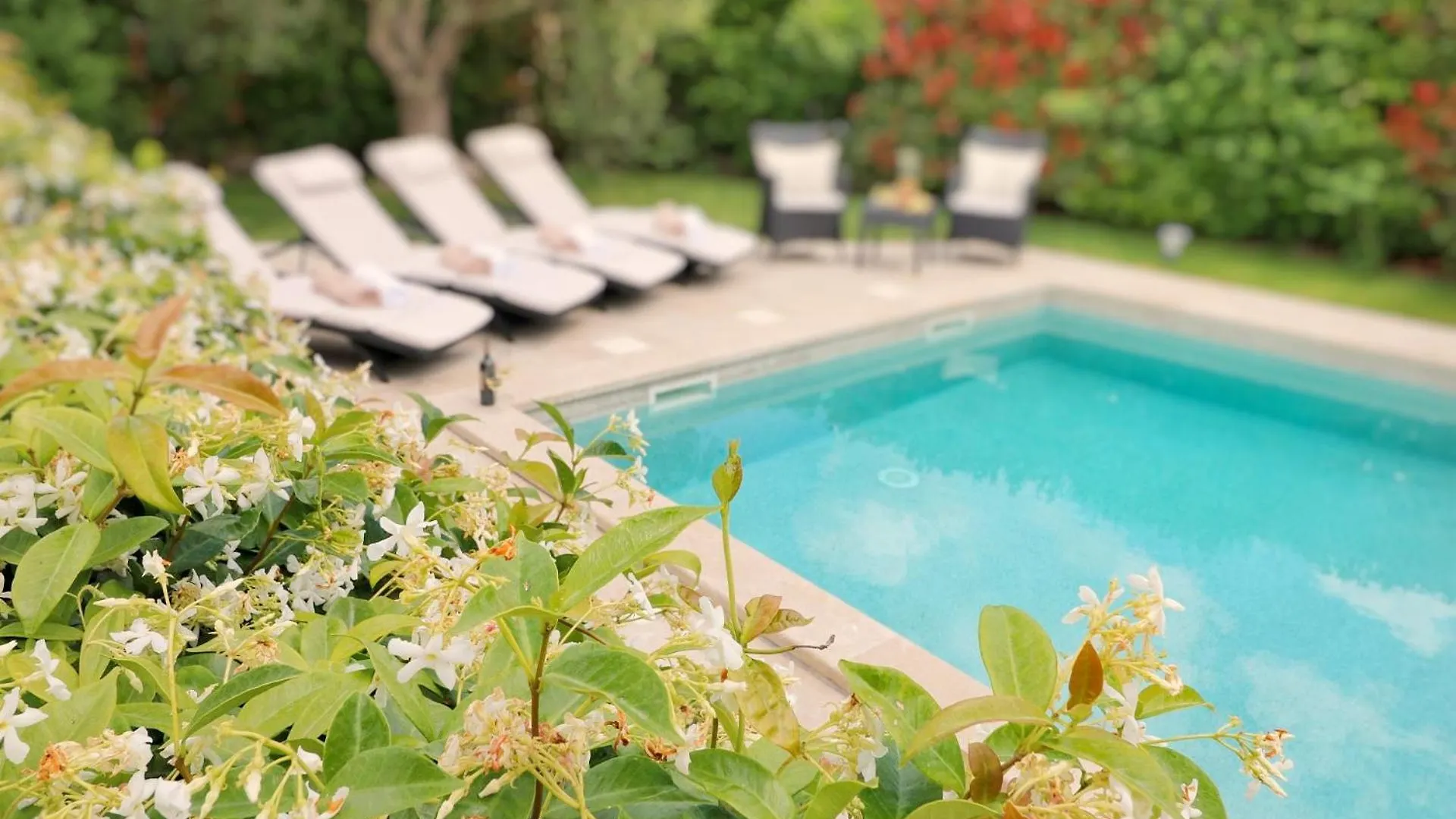 Villa Benvenuti Near Motovun For 8 People - Pet Friendly With Salt - Water Pool Kaldir